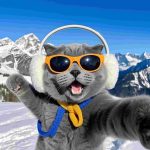 小田音乐的头像-AI破解